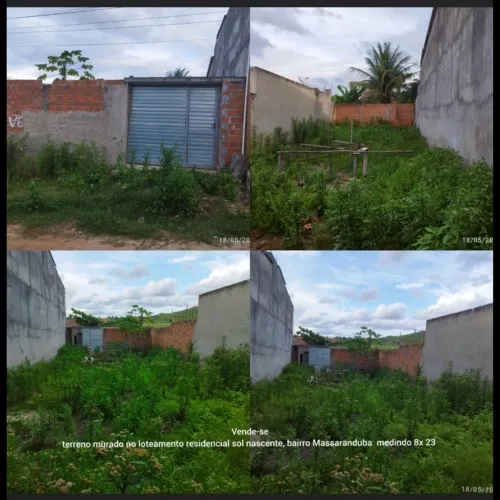 Venda