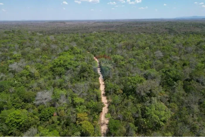 Fazenda à venda em Carolina - 814 Hectares