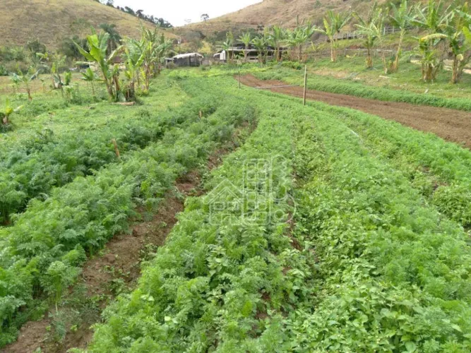 FAZENDA ORGÂNICA PRODUTIVA COM 252000,00m², PORTEIRA FECHADA