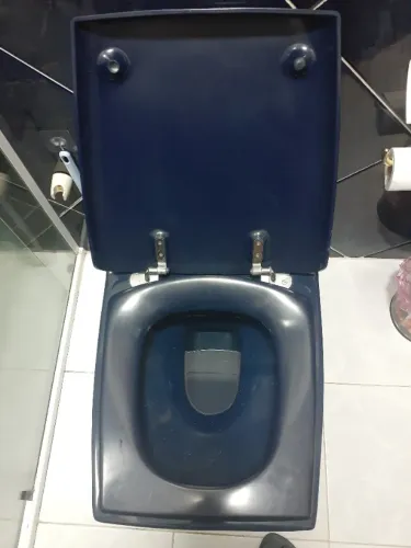 VASO SANTIRARIO CONVENCIONAL MARCA INCEPA ,AZUL MARINHO ,COM ASSENTO .