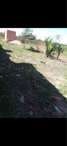 Lote 25x8