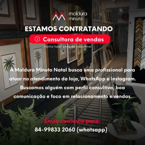 CONSULTORA DE VENDAS E EMOLDURAMENTO