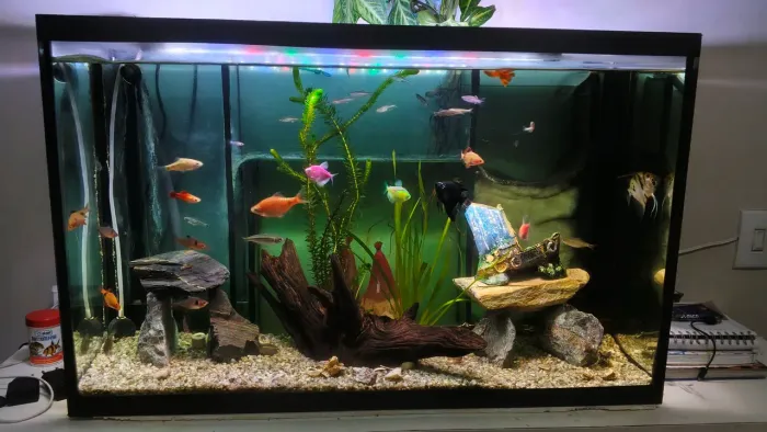 Vendo Aquário 100 Lt c/ Sumper