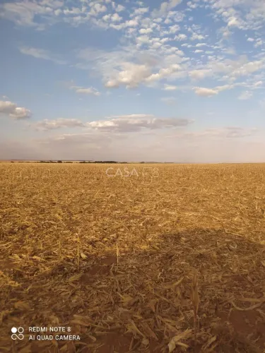 Fazenda à Venda em Inhumas-GO  919,6 Hectares de Potencial Produtivo