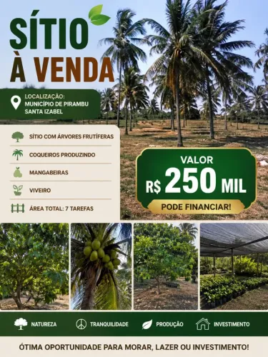 Sitio à venda - município de Pirambu 