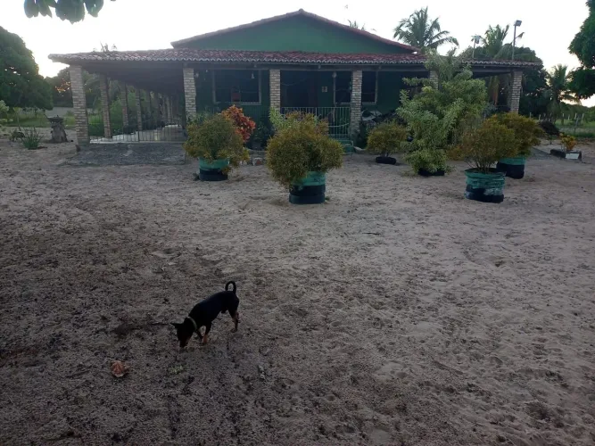 Granja/sítio/fazenda em monte Alegre com 2,8 há casa. Poço. Curral.