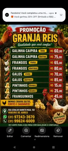 Galinhas caipiras,galos ,frangos e pintinhos