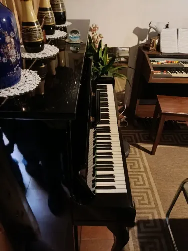 Piano top