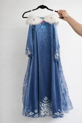 Fantasia fantástica da Frozen