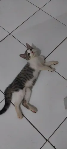 Doação responsável