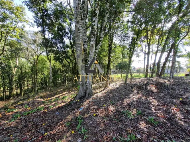 Terreno em condomínio fechado no bairro Pedancino!