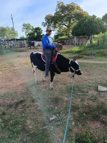 tourinho mine a venda 