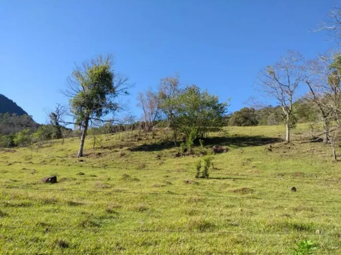 Sítio em Morro Calçado - Morro Calçado - Canela/RS