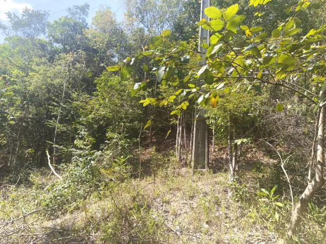 Terreno em Campos de São João