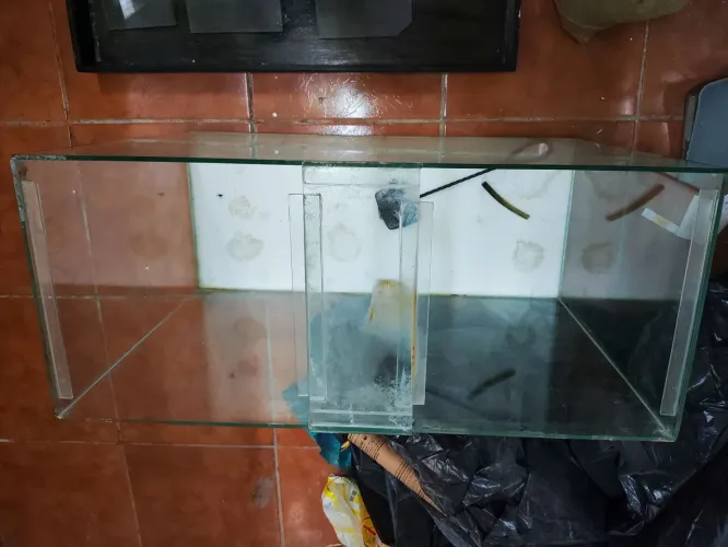 Aquario 100 litros