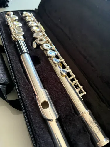 FLAUTA HARMONICS