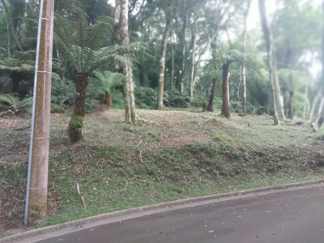 Lindo lote no condominio O Bosque em Gramado