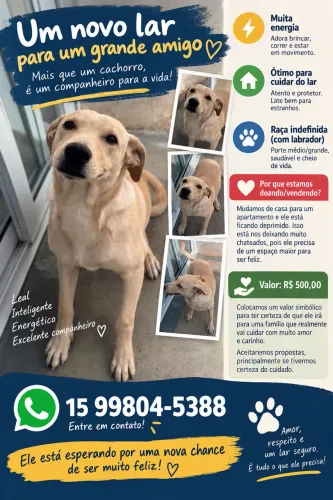 Cuidador de Casa Amigo do Lar