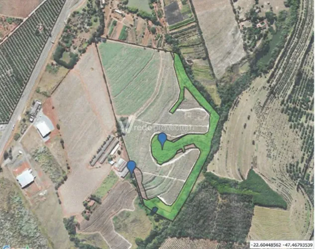 área - Graminha - Limeira