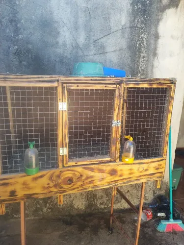 Viveiro pra aves
