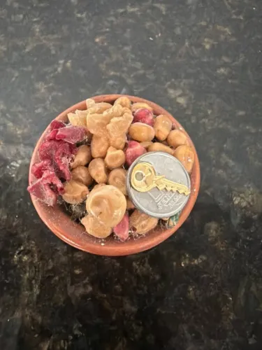 ímã de geladeira tigela da comida com chave resina