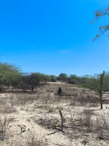 Terreno próximo ao Rio São Francisco (400metros) ao lado da Barragem de Sobradinho 