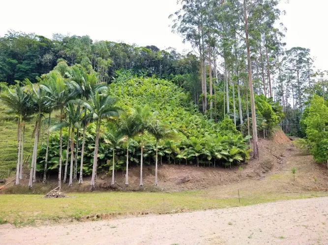Terreno, Sítio com área de 17.158m², na cidade de Pomerode/SC.