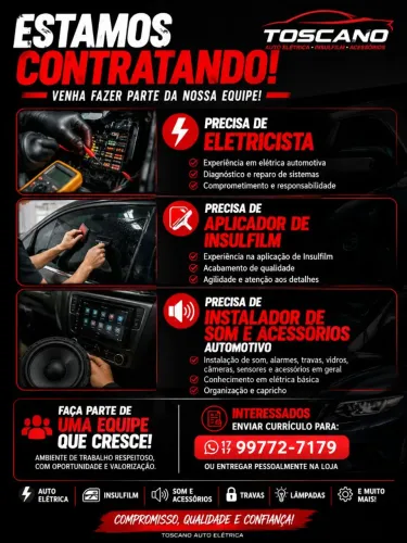 Profissional automotivo