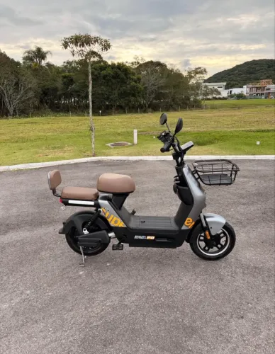 Scooter elétrica Panda T2 800w
