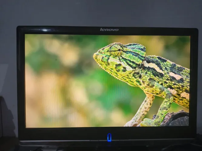 Monitor Lenovo "19