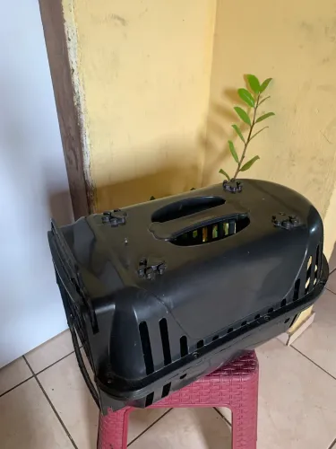 Caixa de transporte para pets