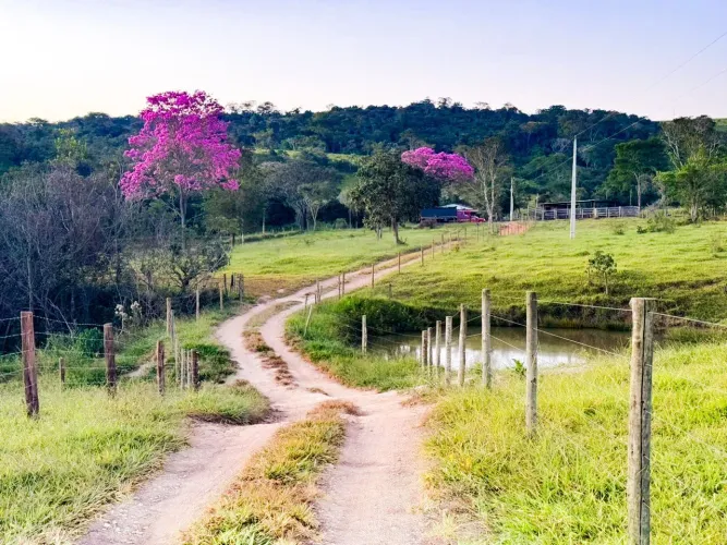 CHÁCARA A VENDA 10.000  MTS ANÁPOLIS GO COM REPRESA, SÓ DELA !DIRETO PROPRIETÁRIO!