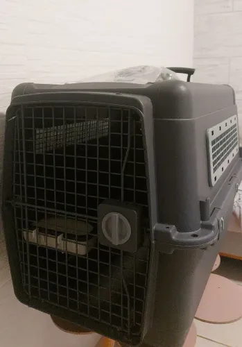 Caixa de transporte para pet