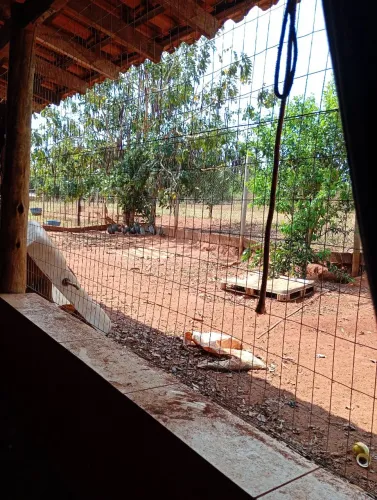 terreno no bairro menino Bragança Paulista 