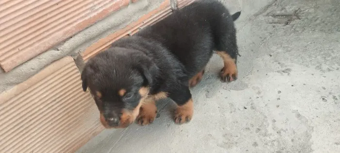 ULTIMAS 3 FEMIAS