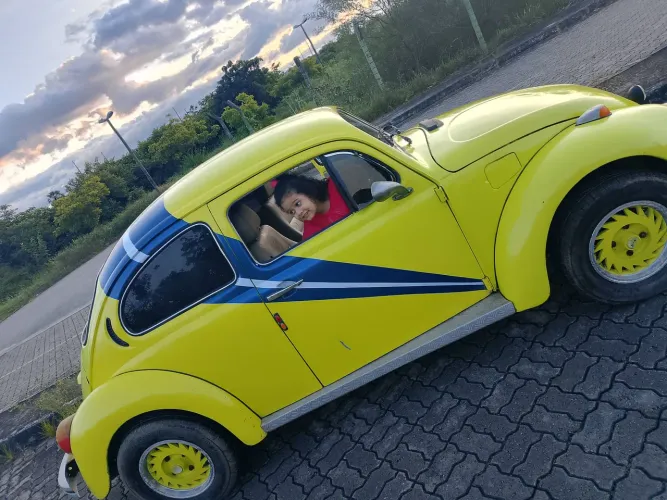 Volkswagen Fusca (álcool) 1982