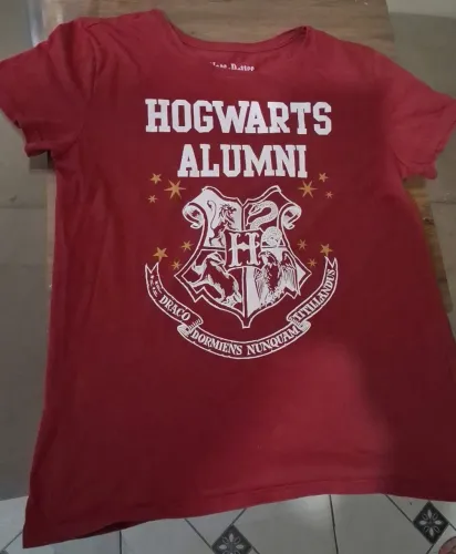 Camisa Harry Potter P Adulto Feminina