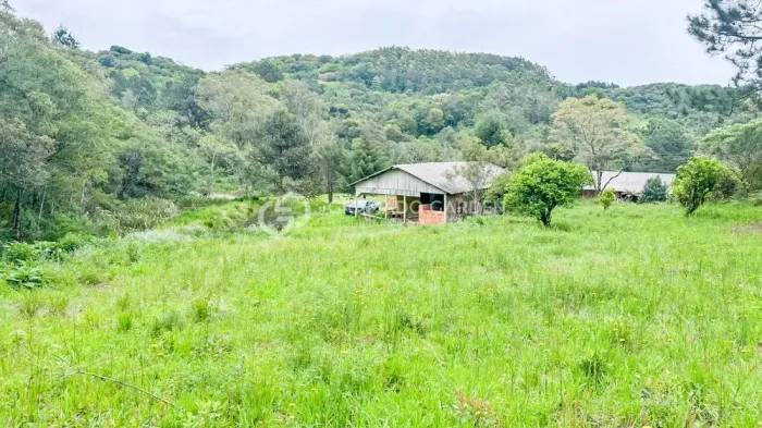 SÍTIO À VENDA SERRA GRANDE IGREJINHA RS