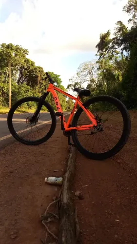 Vendo bike Colli aro 29 + tinta branca perolizada em roxo