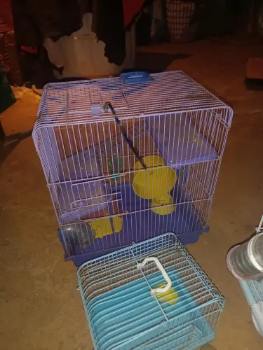 Casinhas de hamster