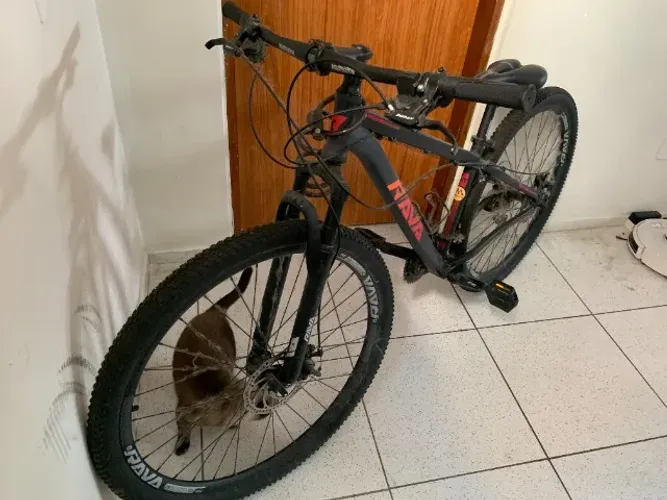 Bicicleta Rava Pressure Aro 29 - 24 Marchas - Quadro 15,5