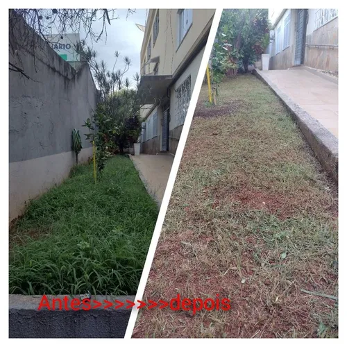 Jardineiro