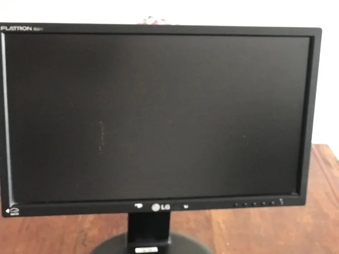 Vendo monitor LG E2011 Flatron