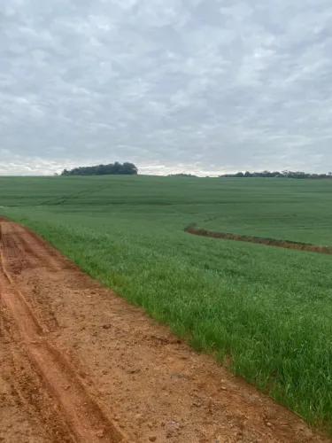 Área Marilândia  do Sul 