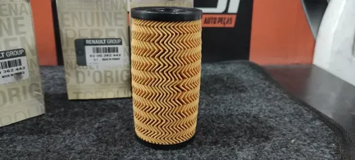 Filtro de Óleo Renault Master 2.5 16v *2