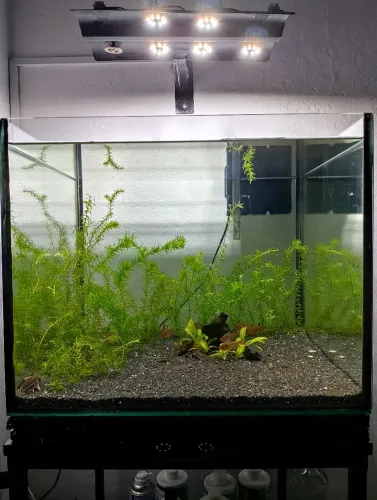 Aquário completo