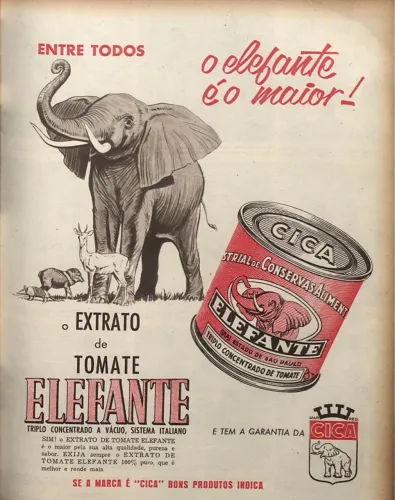 Extrato de Tomate Elefante CICA - Melhor qualidade