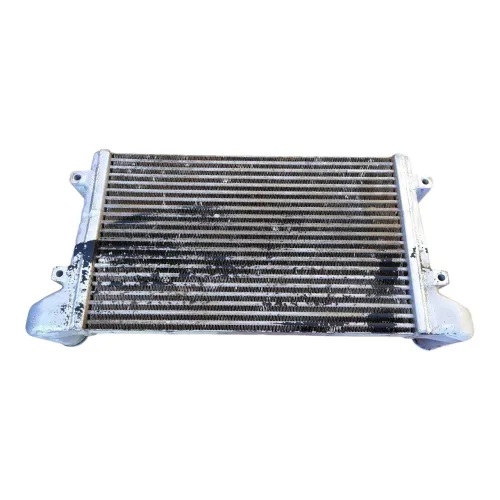 Intercooler Caminhões Vw E485