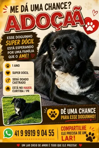Doa-se esses 2 fofos