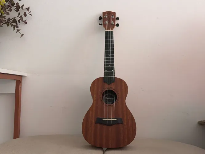 Ukulele concert Strinberg UK06-C novo